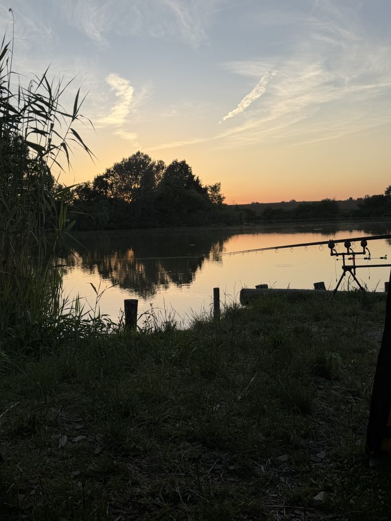 Carp fishing rods set up beside a lake at dusk