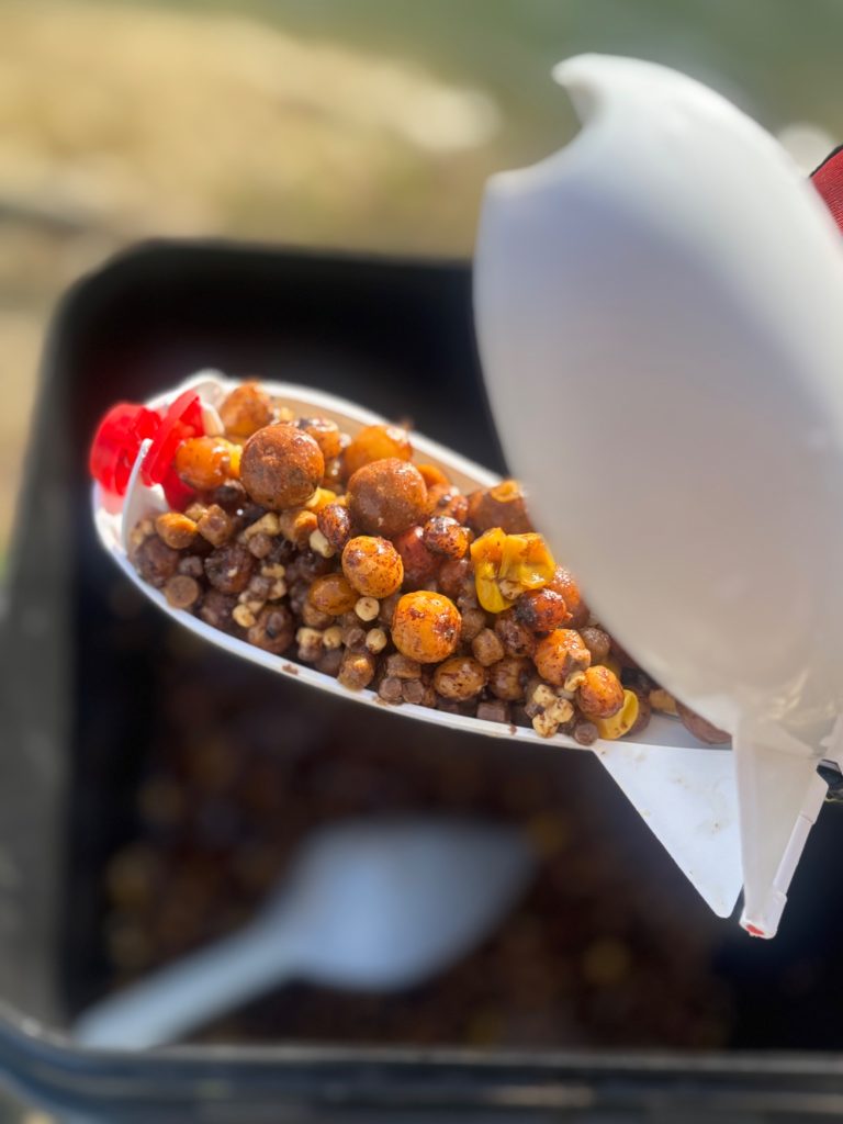 Spod mix with visible tiger nuts loaded into a Spomb for carp fishing.