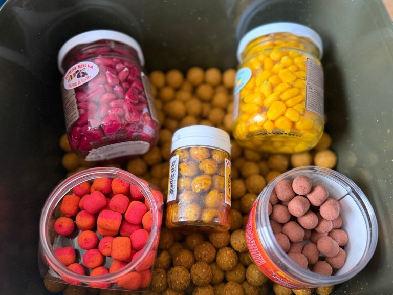 Best common carp bait selection with assorted boilies and prepared corn hookbaits